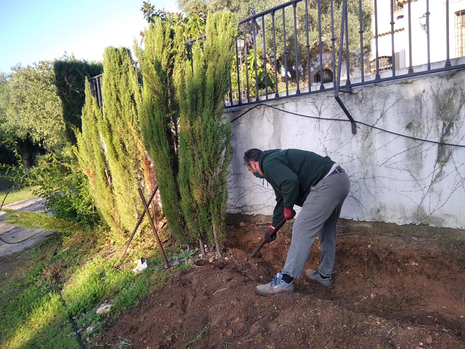 Hombre plantando junto a la cerca de una vivienda